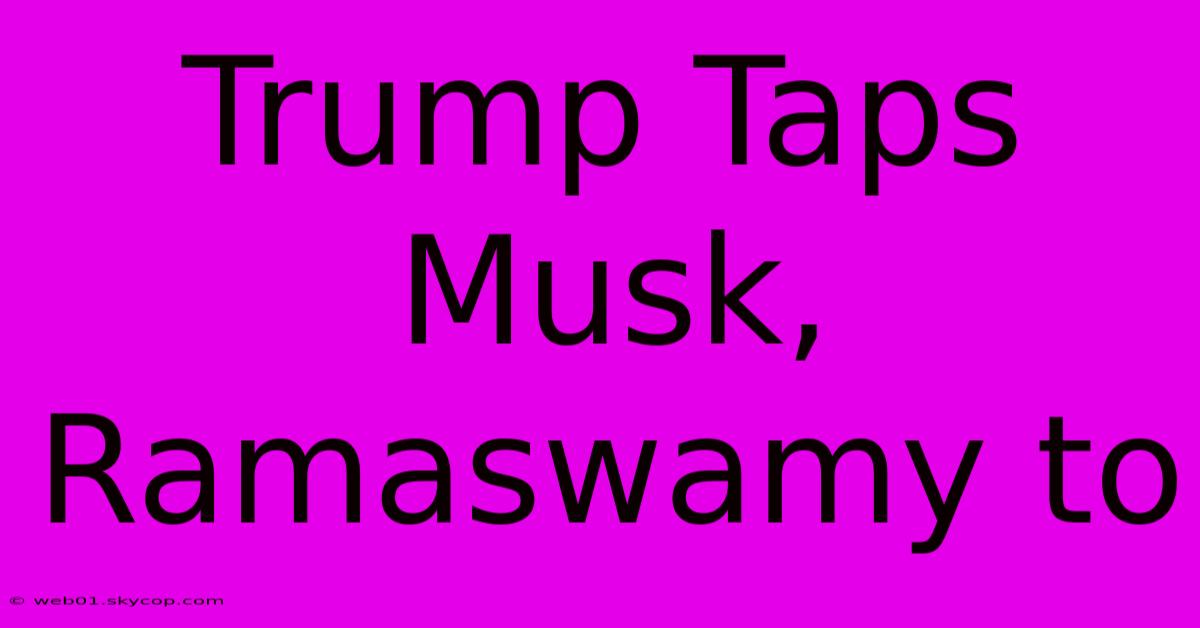 Trump Taps Musk, Ramaswamy To 