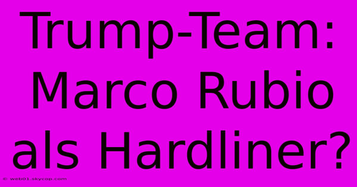 Trump-Team: Marco Rubio Als Hardliner?