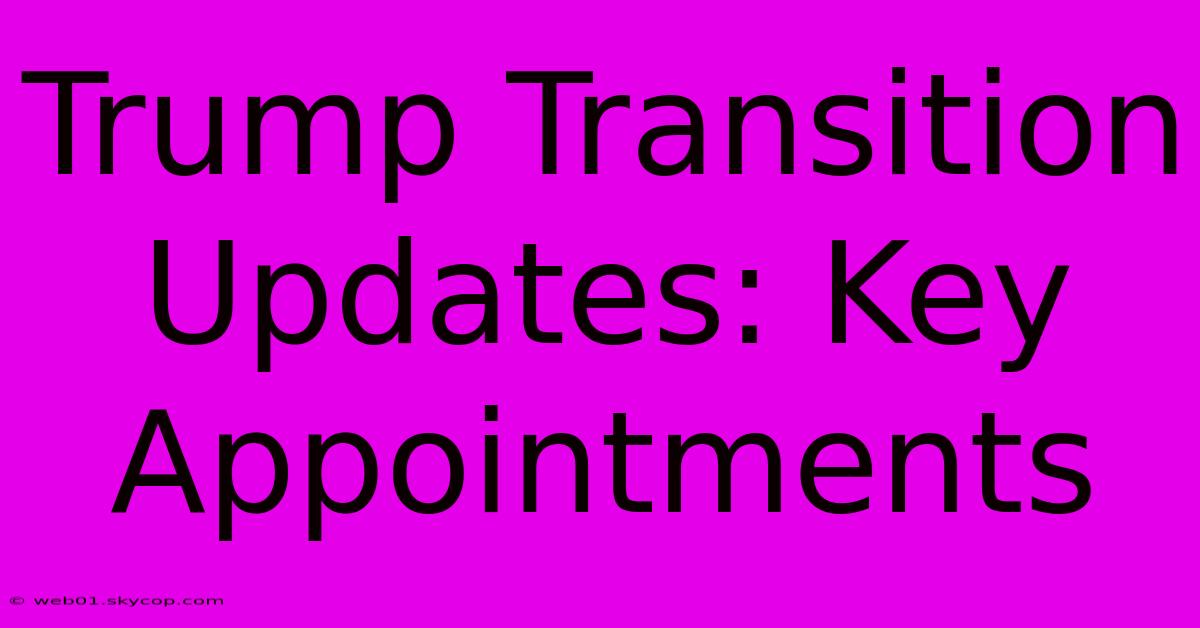 Trump Transition Updates: Key Appointments 