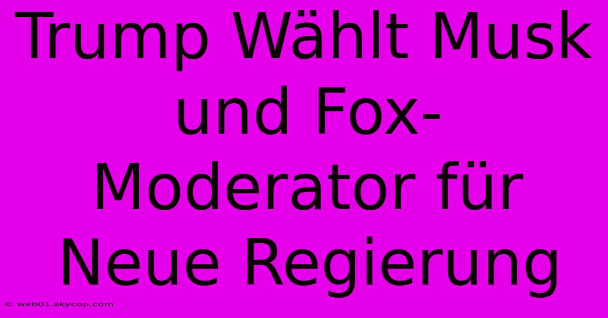 Trump Wählt Musk Und Fox-Moderator Für Neue Regierung 