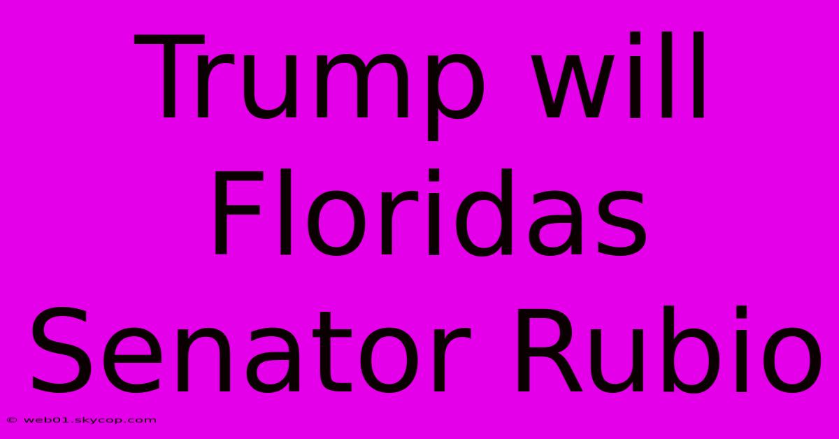 Trump Will Floridas Senator Rubio