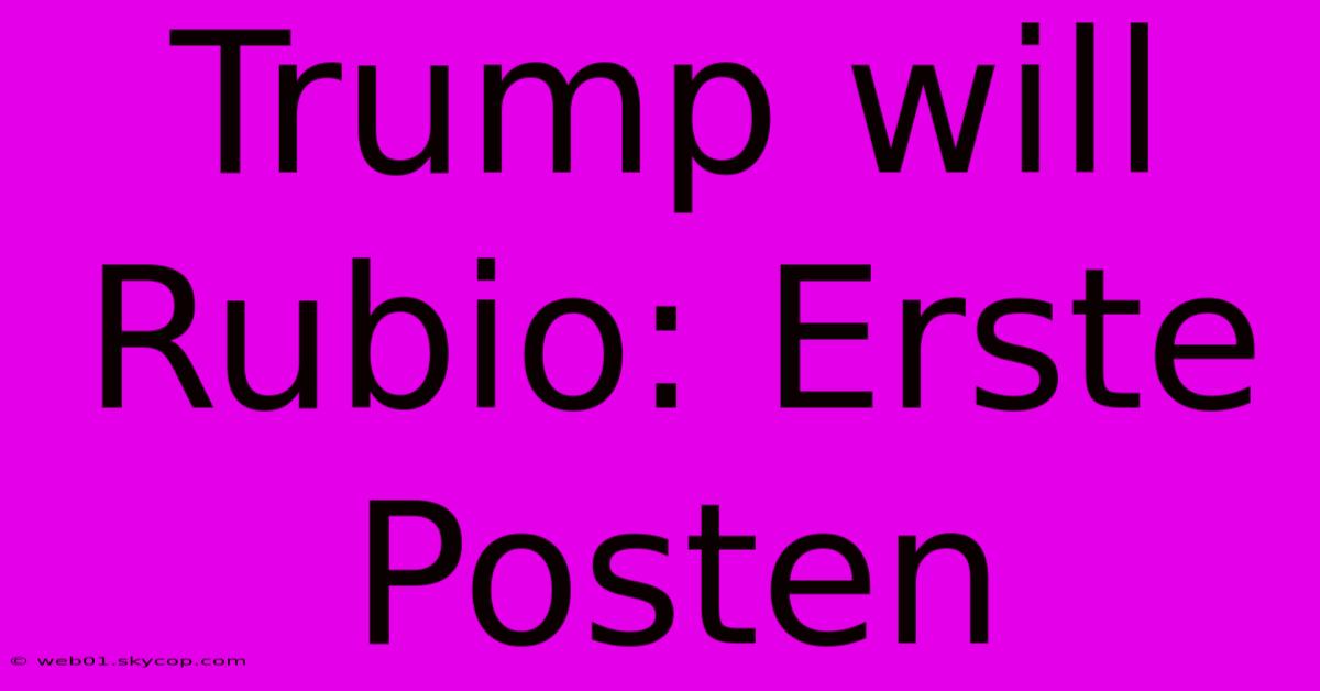 Trump Will Rubio: Erste Posten