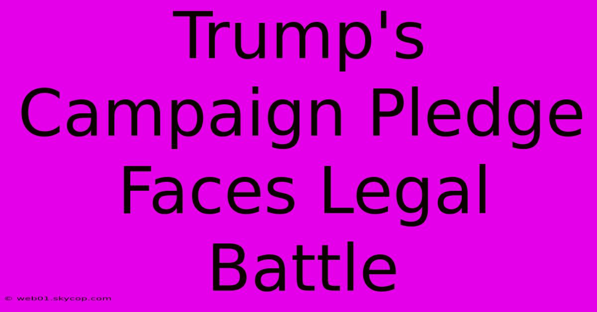 Trump's Campaign Pledge Faces Legal Battle