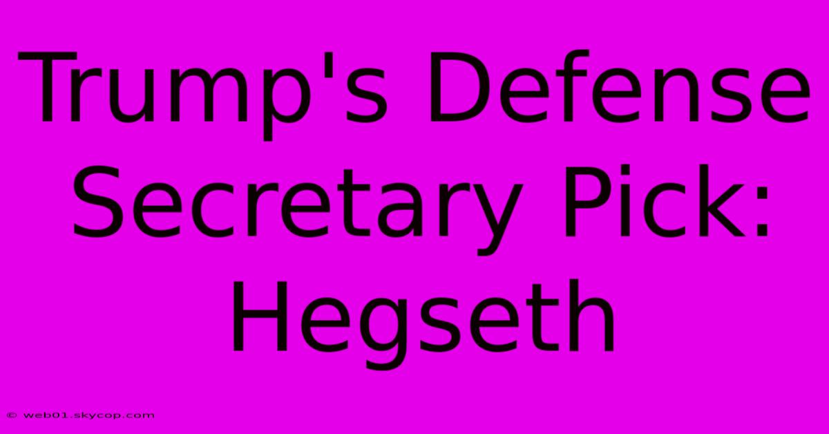 Trump's Defense Secretary Pick: Hegseth 