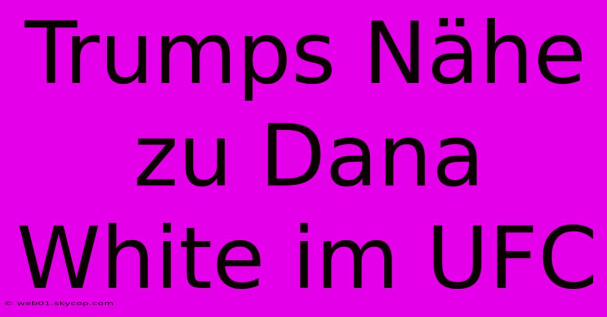 Trumps Nähe Zu Dana White Im UFC 