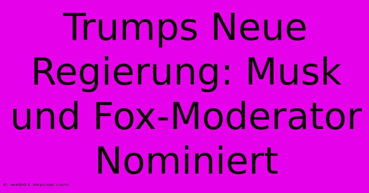 Trumps Neue Regierung: Musk Und Fox-Moderator Nominiert