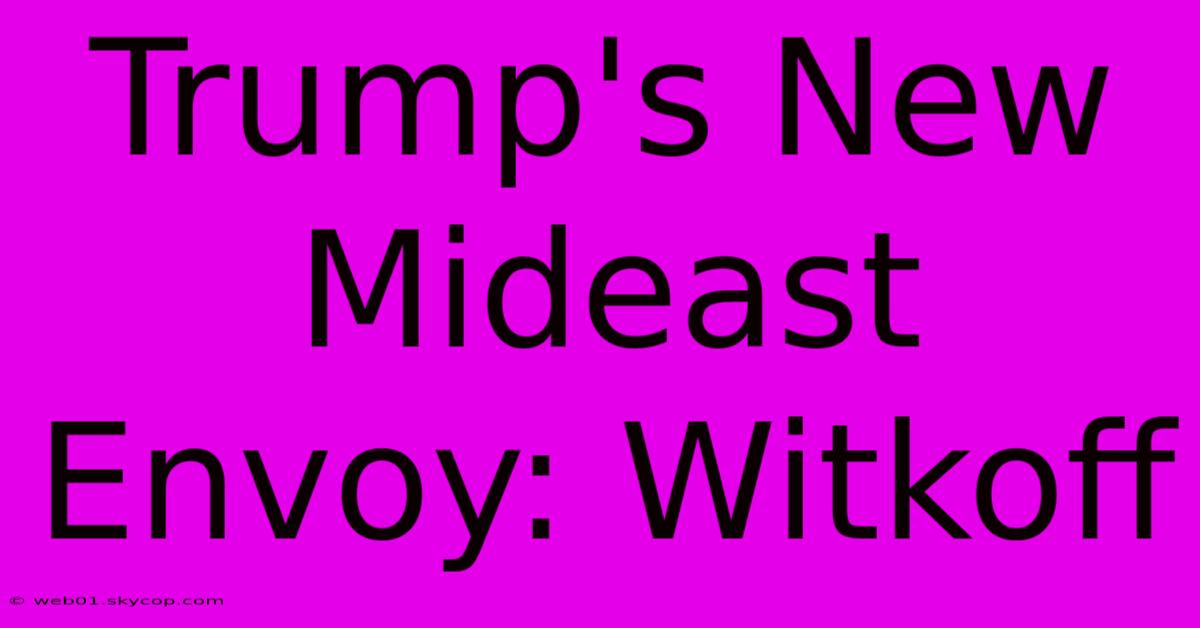 Trump's New Mideast Envoy: Witkoff