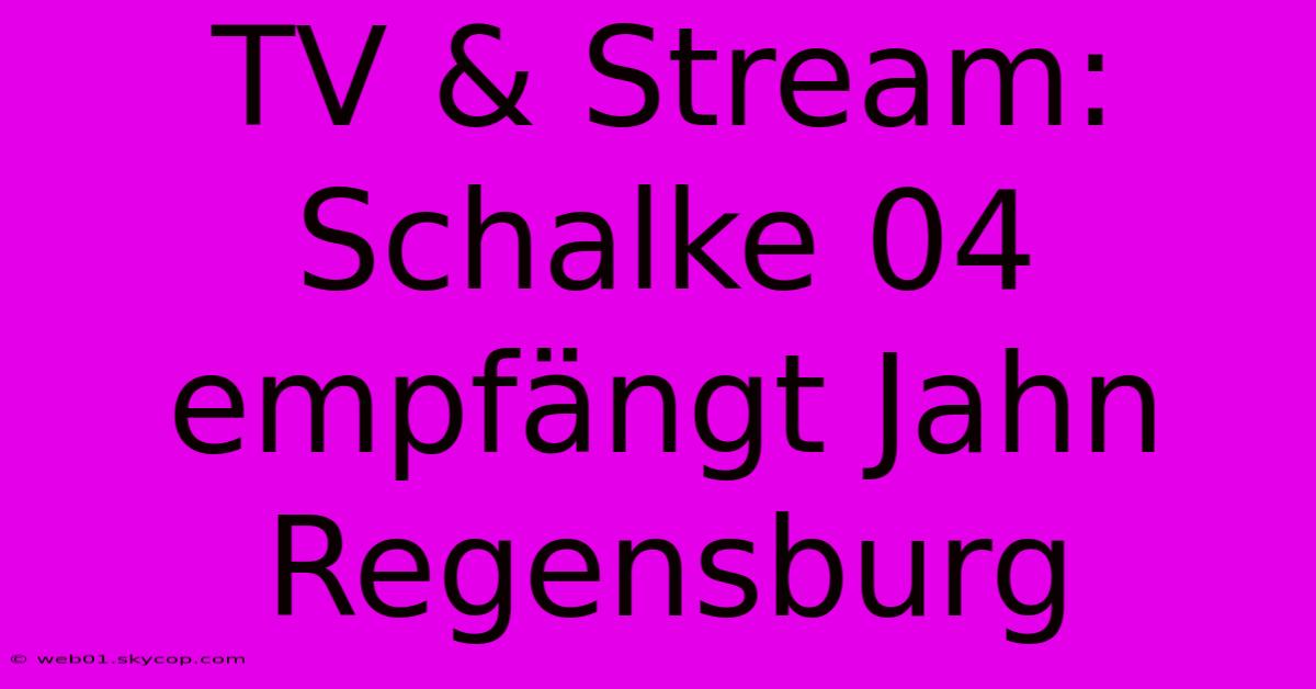 TV & Stream: Schalke 04 Empfängt Jahn Regensburg