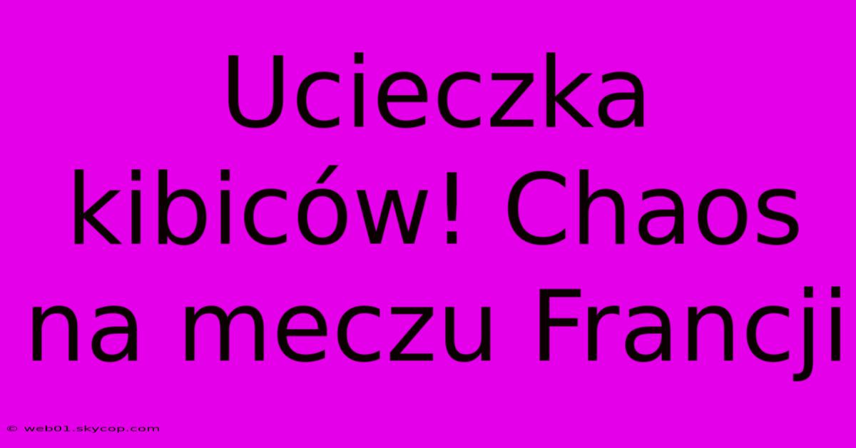 Ucieczka Kibiców! Chaos Na Meczu Francji