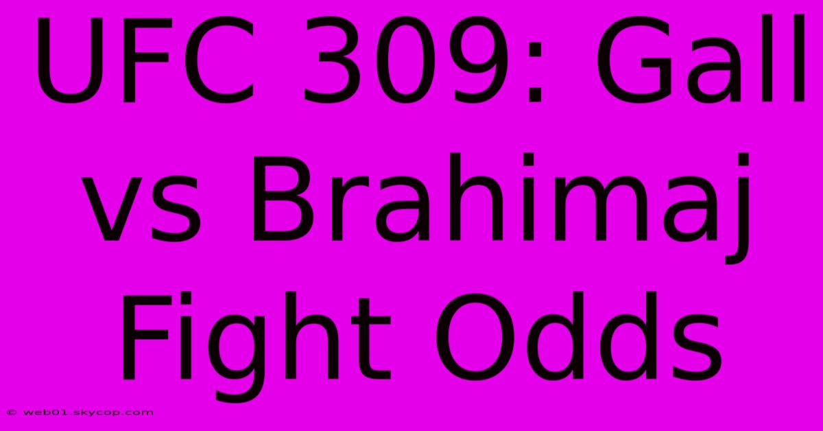 UFC 309: Gall Vs Brahimaj Fight Odds