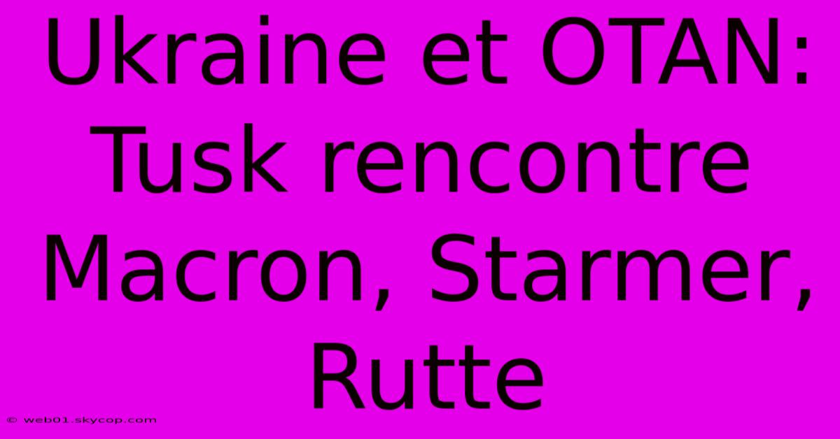 Ukraine Et OTAN: Tusk Rencontre Macron, Starmer, Rutte 