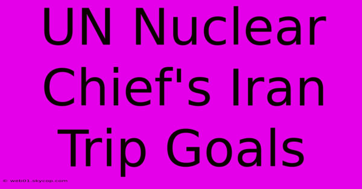 UN Nuclear Chief's Iran Trip Goals