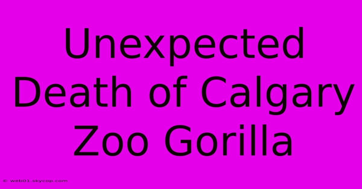 Unexpected Death Of Calgary Zoo Gorilla