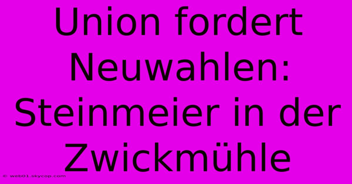 Union Fordert Neuwahlen: Steinmeier In Der Zwickmühle