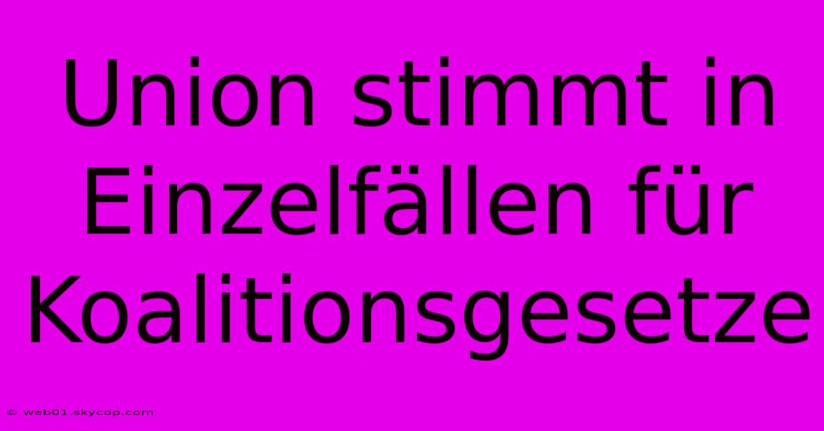 Union Stimmt In Einzelfällen Für Koalitionsgesetze