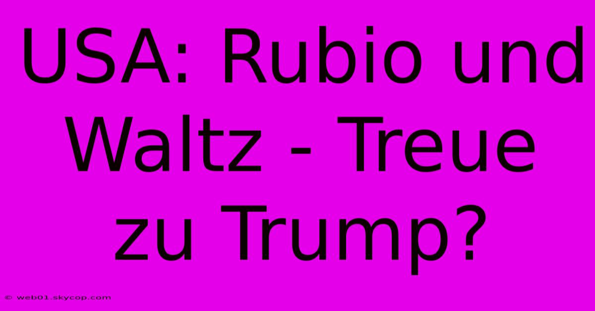 USA: Rubio Und Waltz - Treue Zu Trump?