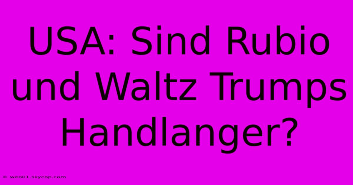 USA: Sind Rubio Und Waltz Trumps Handlanger? 