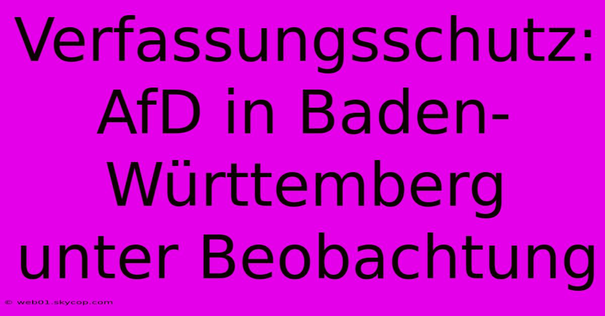 Verfassungsschutz: AfD In Baden-Württemberg Unter Beobachtung 