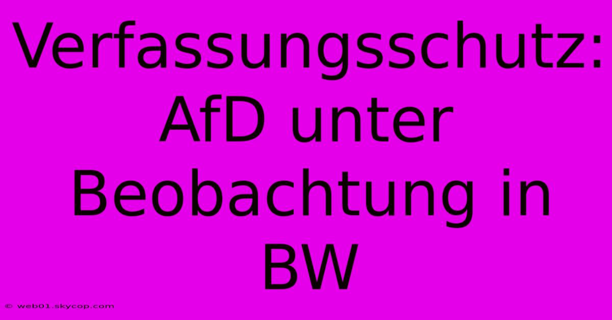 Verfassungsschutz: AfD Unter Beobachtung In BW