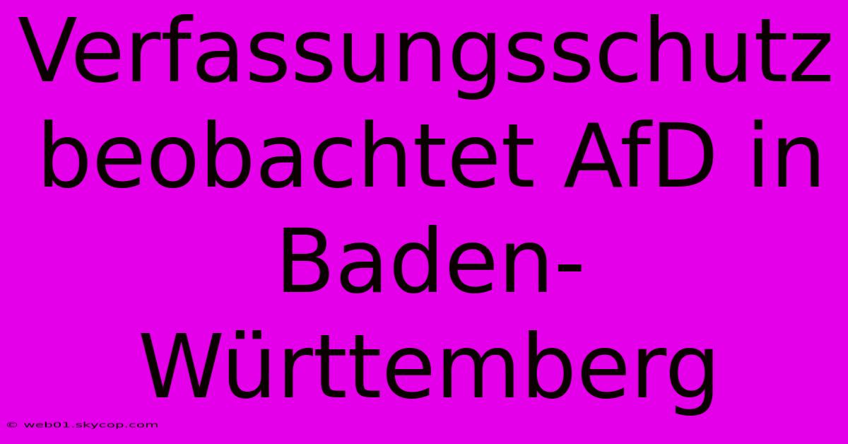 Verfassungsschutz Beobachtet AfD In Baden-Württemberg