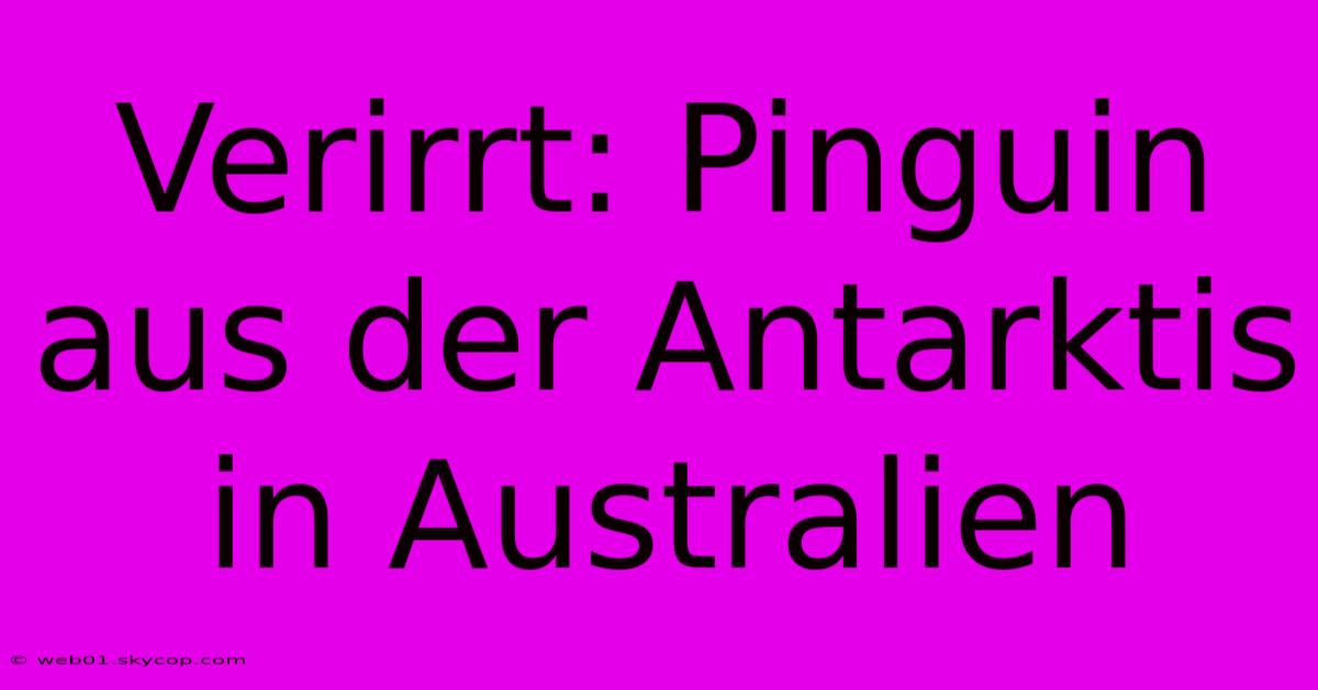 Verirrt: Pinguin Aus Der Antarktis In Australien