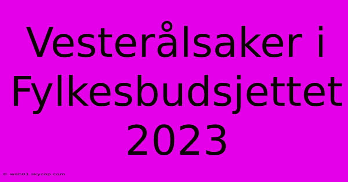 Vesterålsaker I Fylkesbudsjettet 2023