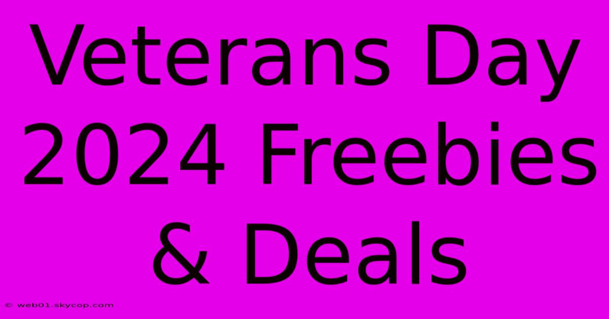 Veterans Day 2024 Freebies & Deals