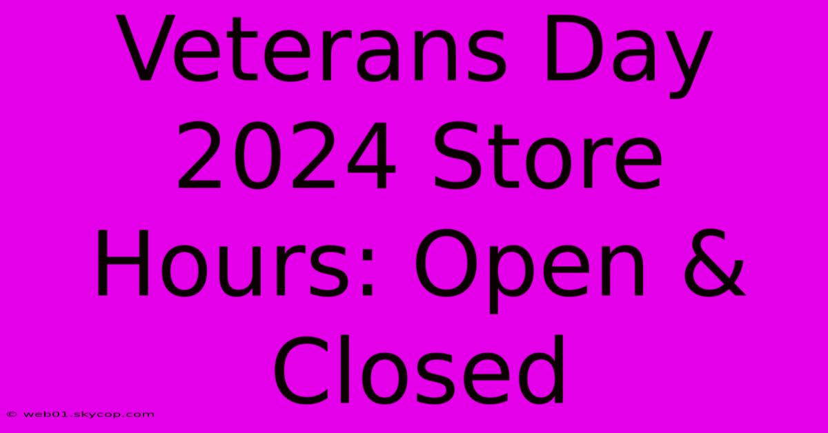 Veterans Day 2024 Store Hours: Open & Closed