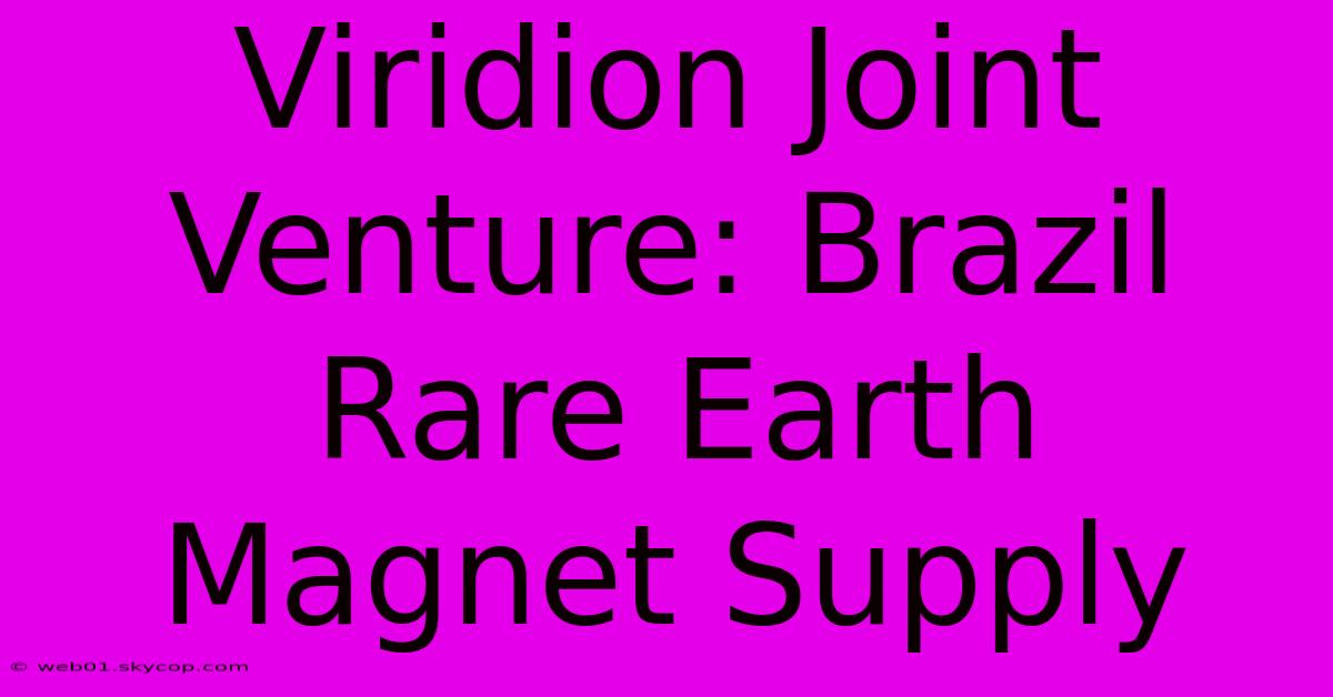 Viridion Joint Venture: Brazil Rare Earth Magnet Supply