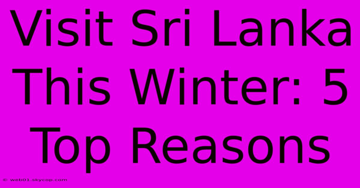 Visit Sri Lanka This Winter: 5 Top Reasons