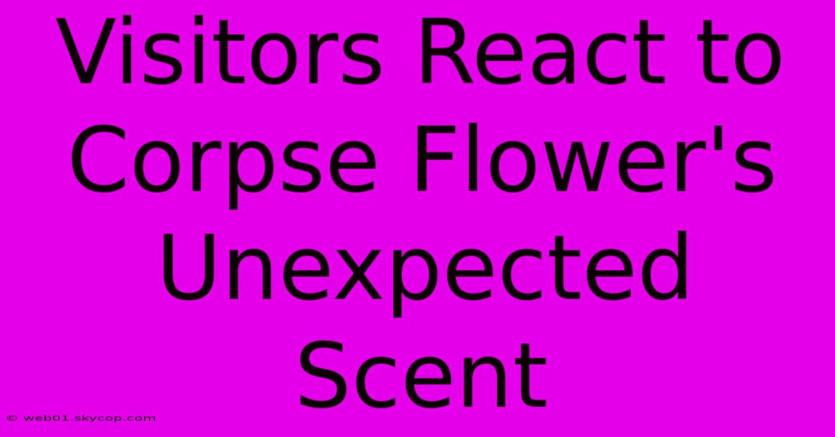 Visitors React To Corpse Flower's Unexpected Scent