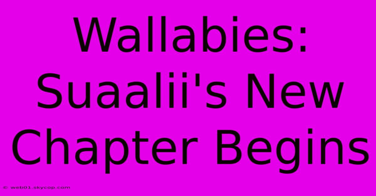 Wallabies: Suaalii's New Chapter Begins