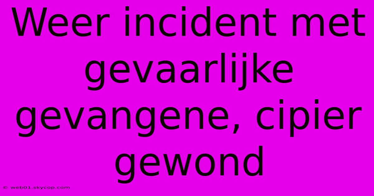 Weer Incident Met Gevaarlijke Gevangene, Cipier Gewond 