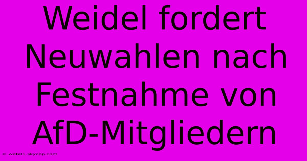 Weidel Fordert Neuwahlen Nach Festnahme Von AfD-Mitgliedern 