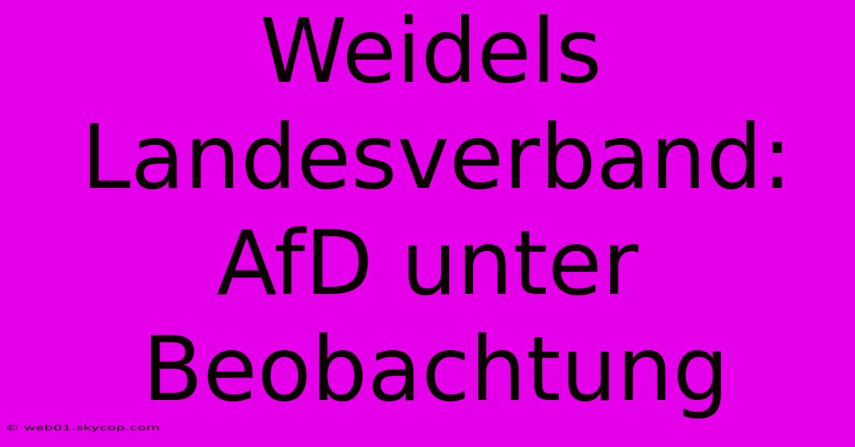 Weidels Landesverband: AfD Unter Beobachtung