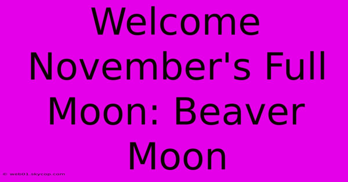 Welcome November's Full Moon: Beaver Moon 