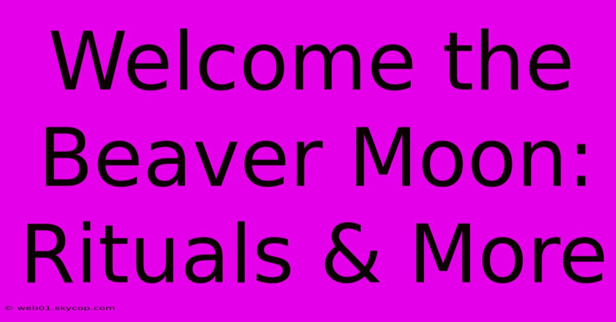 Welcome The Beaver Moon: Rituals & More 