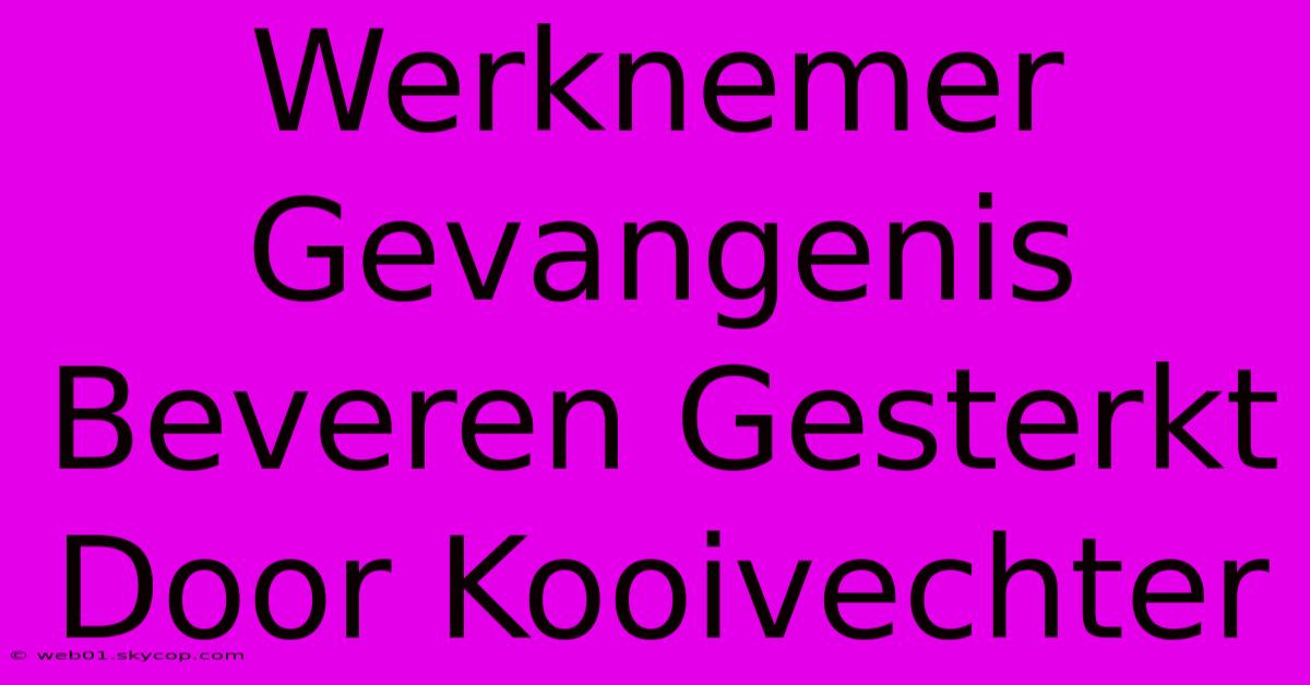 Werknemer Gevangenis Beveren Gesterkt Door Kooivechter