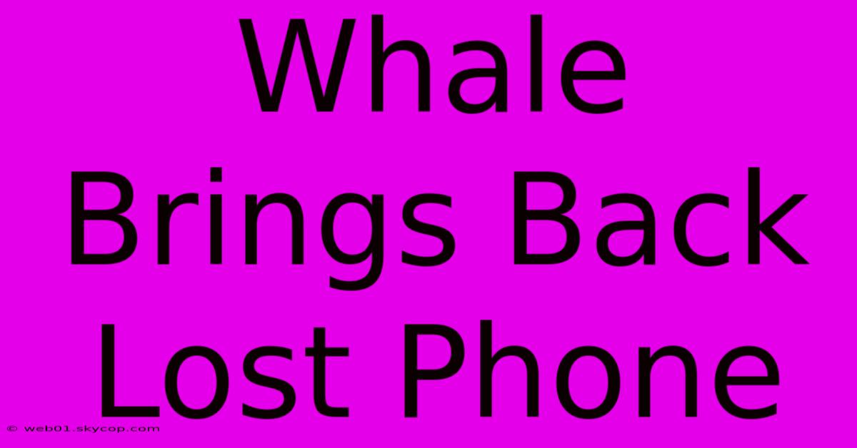 Whale Brings Back Lost Phone  