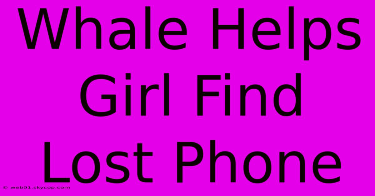 Whale Helps Girl Find Lost Phone