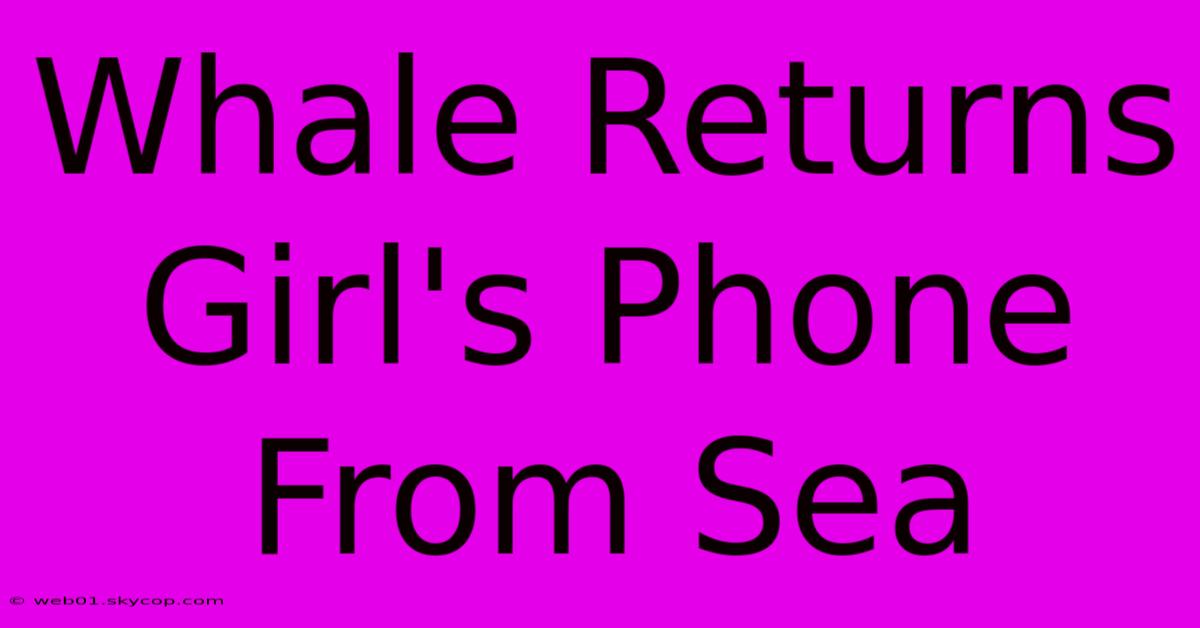 Whale Returns Girl's Phone From Sea