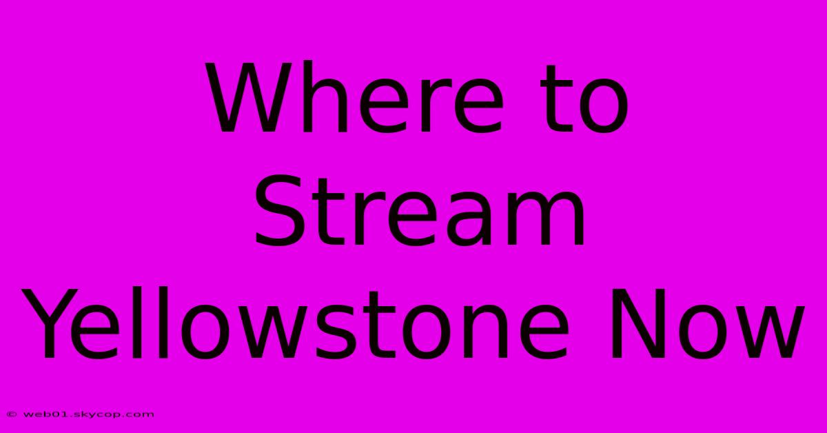 Where To Stream Yellowstone Now