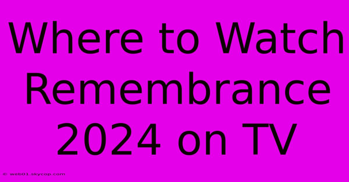 Where To Watch Remembrance 2024 On TV 