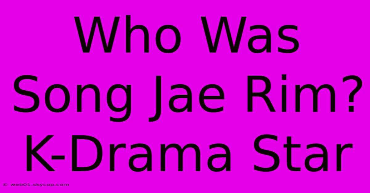 Who Was Song Jae Rim? K-Drama Star