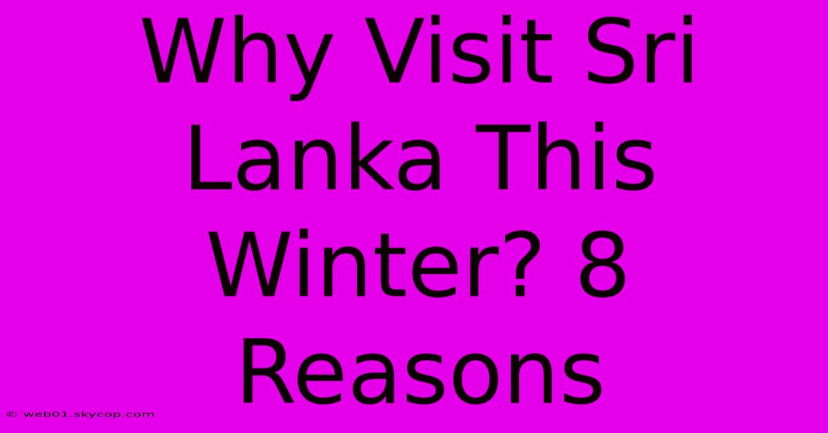 Why Visit Sri Lanka This Winter? 8 Reasons