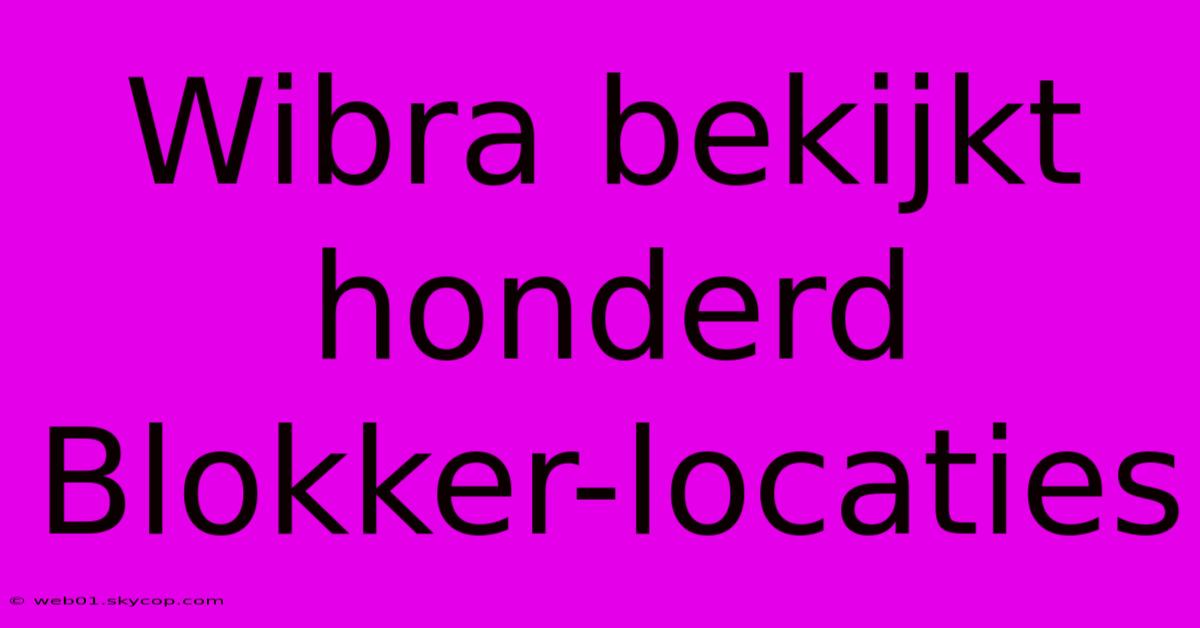 Wibra Bekijkt Honderd Blokker-locaties