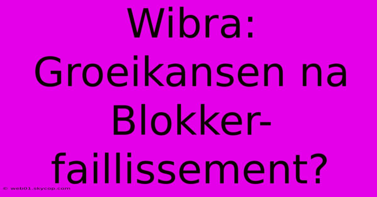 Wibra: Groeikansen Na Blokker-faillissement?