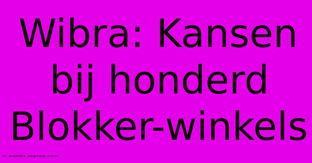 Wibra: Kansen Bij Honderd Blokker-winkels