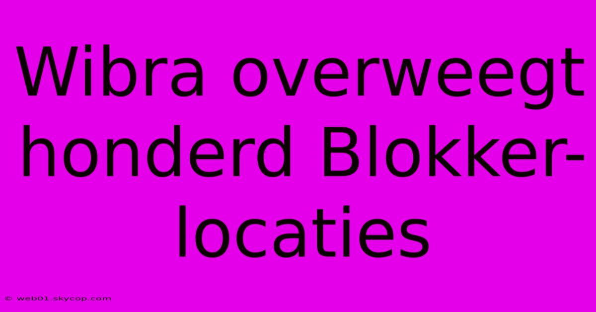 Wibra Overweegt Honderd Blokker-locaties