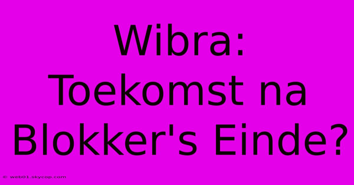 Wibra: Toekomst Na Blokker's Einde? 